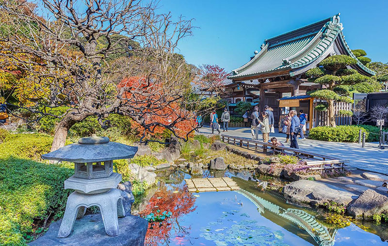 Kamakura release image background | IOTech Systems